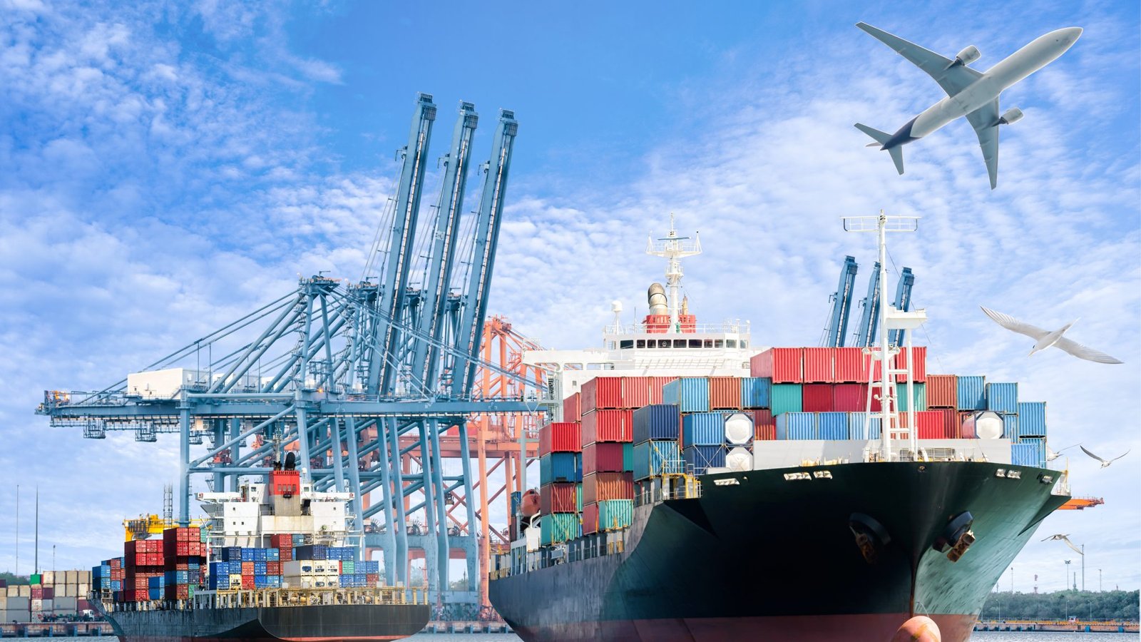 International Movers and Packers